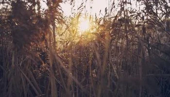 注册QQ赞助手账号